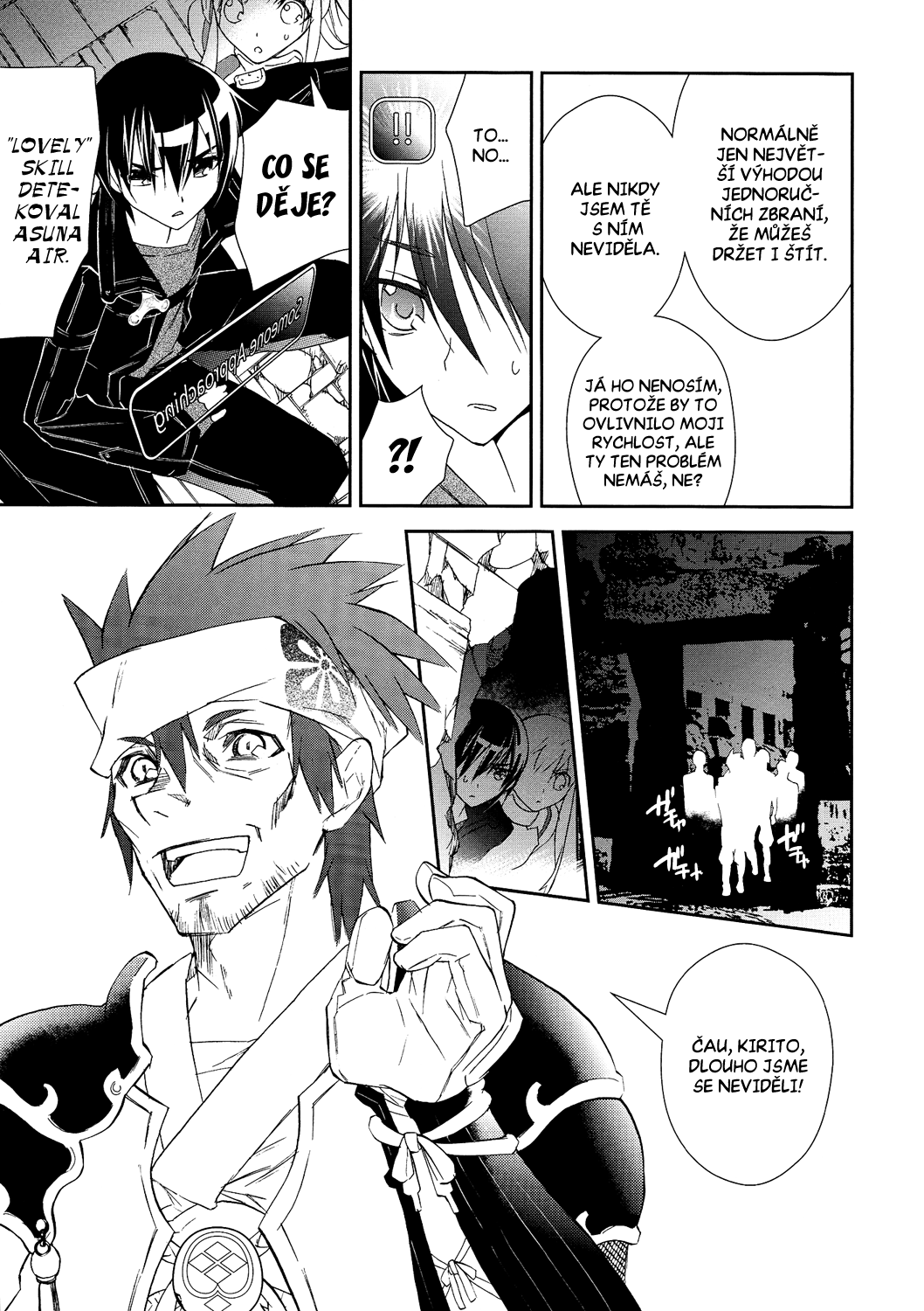 SAO_c05_005 kopie.png